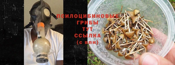 spice Володарск