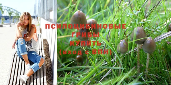 apvp Волосово