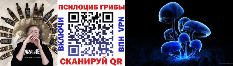 купить наркотик  Иваново  Псилоцибиновые грибы MAGIC MUSHROOMS 
